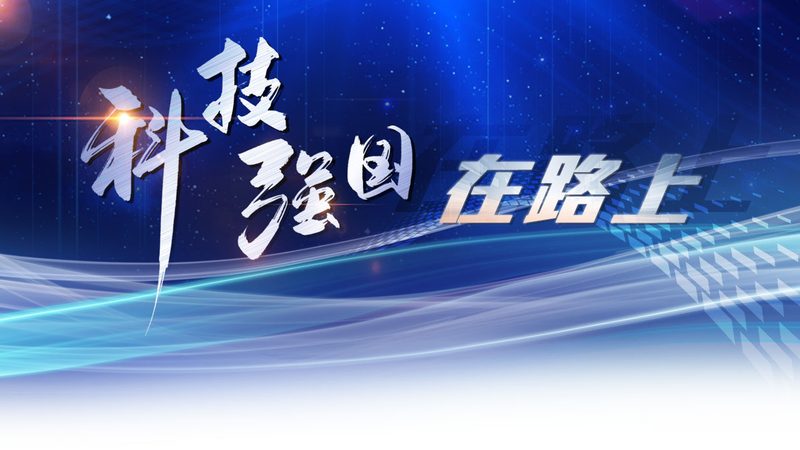 数据中台与数据仓库：本质区别与适用场景解析