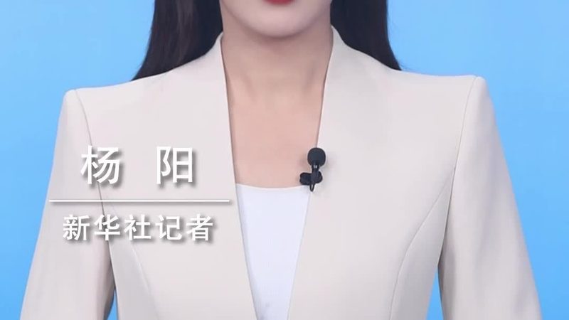 多语言搜索引擎安装步骤详解